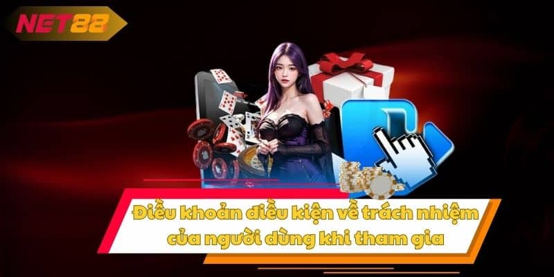 Điều khoản điều kiện về trách nhiệm của người dùng khi tham gia